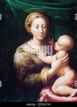 Girolamo Francesco Maria Mazzola detto Parmigianino, la Madonna col Bambino, dipinto ad olio su tavola, 1527-1530 Foto Stock