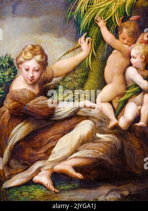 Martire femminile con angeli (Santa Caterina da Alessandria?), dipinto in olio su legno di pioppo di Girolamo Francesco Maria Mazzola detto Parmigianino, 1523-1524 Foto Stock