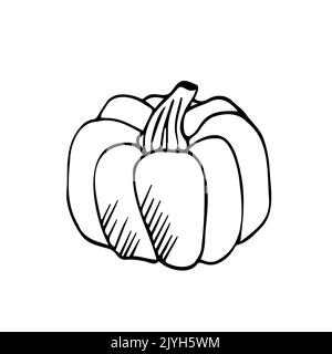 Vettore mano disegnata zucca contorno doodle icona. Illustrazione di schizzi di cibo per stampa, web, mobile e infografica isolata su sfondo bianco. Illustrazione Vettoriale