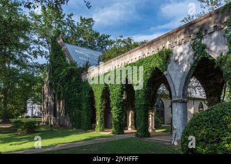 Eufaula, Alabama, USA - 6 settembre 2022: Passerella coperta da edera tra edifici vecchi e nuovi presso la storica chiesa episcopale di St. James fondata nel 183 Foto Stock
