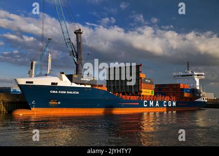 La nave container viene caricata presso il porto di Steinwerd, South-West-Terminal, Germania, Amburgo Foto Stock