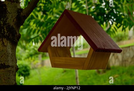 Piccola birdhouse in legno con tetto rosso scuro è appesa all'albero in un parco vicino al mare. Foto Stock