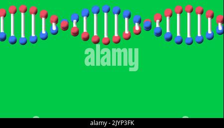 Immagine del filamento di dna che gira con spazio di copia sullo schermo verde Foto Stock