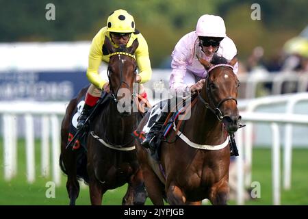 Polly Pott riden by jockey Daniel Tudhope (a destra) vince il Cazoo May Hill Stakes con Novakai guidato dal jockey Andrea Atzeni secondo durante il Cazoo St Leger Festival all'ippodromo di Doncaster. Data immagine: Giovedì 8 settembre 2022. Foto Stock