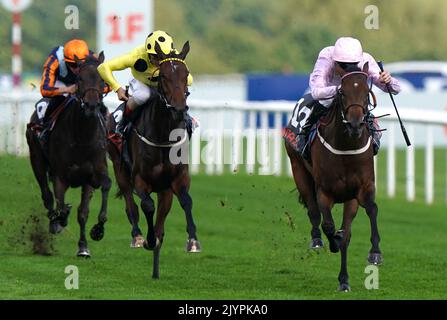 Polly Pott riden di Daniel Tudhope (a destra) vince il Cazoo May Hill Stakes durante il Cazoo St Leger Festival all'ippodromo di Doncaster. Data immagine: Giovedì 8 settembre 2022. Foto Stock