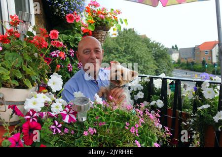 Tassista Pete Gover con il suo Yorkshire Terrier Patsie nel suo magnifico giardino, festonato con oltre 200 Petunias, gerani, Lobelia e Lillies. Il vecchio di 57 anni ha anche dei pullman che si fermano per ammirare la gamma di colori fantastioc mentre passano sulla strada orientale a Portsmouth, una delle principali arterie della città. Ma questo non è un giardino ordinario, è a tre piani in su in un blocco di appartamenti l'unico pizzico di colore su una tenuta altrimenti drub. Pete ha detto ''sono stato gradualmente espandendo il mio display da quando ho iniziato con un paio di pentole qualche ciears fa. Sembra appena svilupparsi anno su y Foto Stock