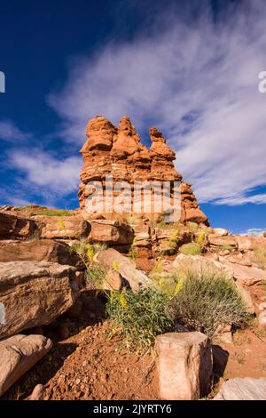 I fiori della Yellow Prince's Plume fioriscono di fronte a una formazione di arenaria di Entrada nel Parco Nazionale di Arches, Moab, Utah. Foto Stock