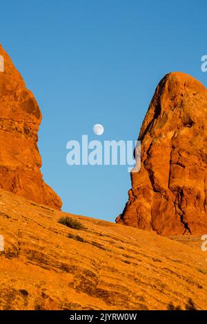 Ormeggia in un pinnacolo di arenaria nel Garden of Eden nel Parco Nazionale di Arches vicino a Moab, Utah. Foto Stock