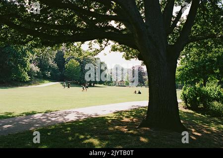 Alexandra Park, Hastings, East Sussex, South East England, in estate Foto Stock