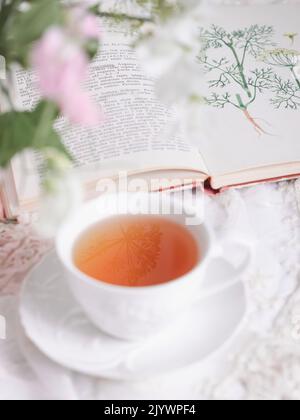 Una tazza bianca di tè ad un libro aperto Foto Stock