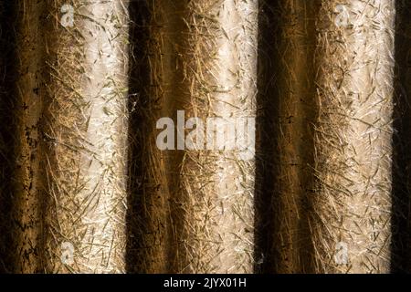 coperchio di una parete di plastica corrugata Foto Stock