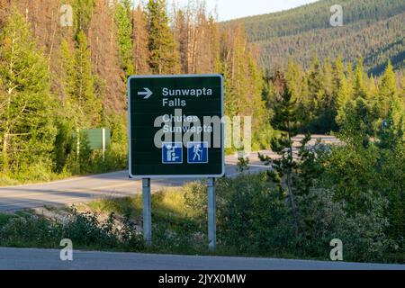 Segnale direzionale per la cascata di Sunwapta Falls attraction turistica lungo l'Icefields Parkway nel Jasper National Park Foto Stock