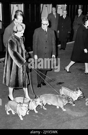 Foto del file datata 08/02/1968 della Regina Elisabetta II che tiene quattro corgis sulle derivazioni alla stazione di Liverpool Street al suo ritorno da Sandringham. La regina morì pacificamente a Balmoral questo pomeriggio, Buckingham Palace ha annunciato. Data di emissione: Giovedì 8 settembre 2022. Foto Stock