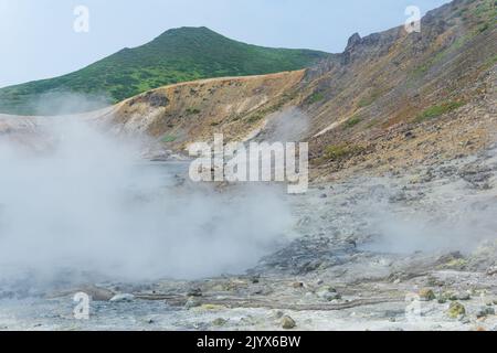 Scarico idrotermale fumante sulla riva del lago caldo nella caldera del vulcano Golovnin sull'isola di Kunashir Foto Stock