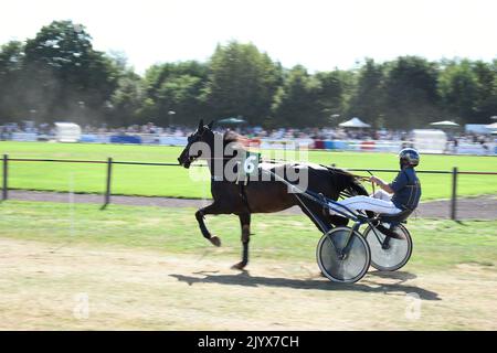 Trotting corsa, cavalli in accelerazione nell'ippodrome, in esecuzione per le scommesse di business e sport a cavallo Foto Stock