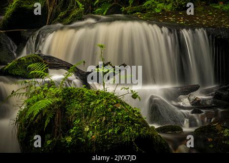 Cascata sotto la porta d'acqua nei pressi della città di Vyssi Brod in estate nuvoloso fresco giorno Foto Stock