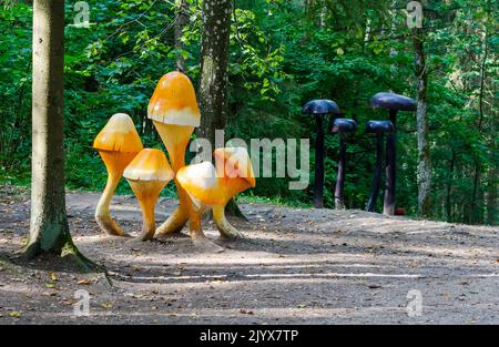 Grandi funghi di legno come decorazione nel parco di Tervete Foto Stock