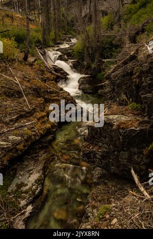 Il torrente di baring precipita sotto andando alla Sun Road verso il lago di St Marys nel Glacier National Park Foto Stock