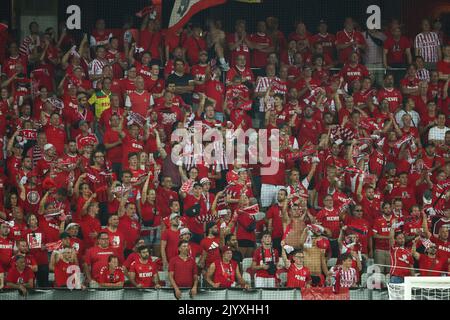 Nizza, Francia. 08th Set, 2022. Calcio: UEFA Europa Conference League, OGC Nice - 1. FC Köln, Gruppo D, Giornata 1 allo stadio Allianz Riviera. Gli appassionati di Colonia sono negli stand. Credit: Friso Gentsch/dpa/Alamy Live News Foto Stock