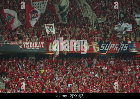 Nizza, Francia. 08th Set, 2022. Calcio: UEFA Europa Conference League, OGC Nice - 1. FC Köln, Gruppo D, Giornata 1 allo stadio Allianz Riviera. Gli appassionati di Colonia sono negli stand. Credit: Friso Gentsch/dpa/Alamy Live News Foto Stock