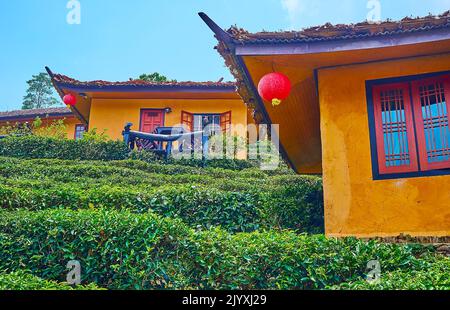 Le case vintage adobe cinese, circondato da lussureggianti cespugli di tè verde, Ban Rak Thai Yunnan tè villaggio, Thailandia Foto Stock