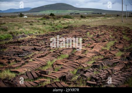 Il tappeto erboso tagliato a macchina si asciuga in un ro Foto Stock