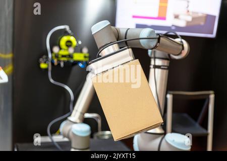 Braccio robot pick and place industriale Foto Stock