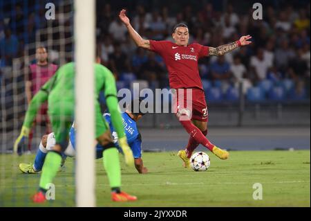 Napoli, Italia. 7 Set, 2022. Darwin Nunez del Liverpool FC durante la partita della UEFA Champions League tra SSC Napoli e Liverpool FC allo Stadio Diego Armando Maradona Napoli Italia il 07 settembre 2022. Credit: Franco Romano/Alamy Live News Foto Stock