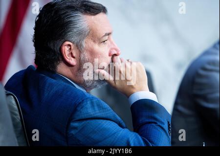 Washington, Stati Uniti. 08th Set, 2022. Il senatore degli Stati Uniti Ted Cruz (R-TX) a una riunione del Comitato giudiziario del Senato. Credit: SOPA Images Limited/Alamy Live News Foto Stock