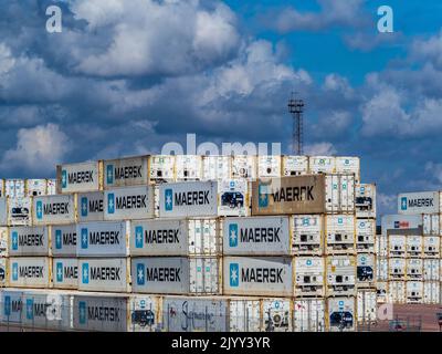 Contenitori refrigerati per spedizioni Maersk - i contenitori refrigerati sono contenitori per spedizioni ISO con un'unità di refrigerazione integrata, AKA Reefers.
