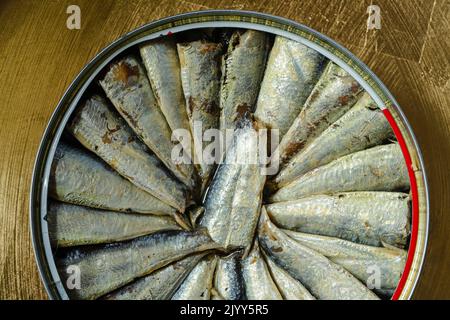 Sardine in scatola rotonda di metallo con fondo di legno. Foto Stock