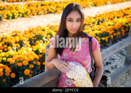 Ritratto della festa autunnale di giovane donna asiatica in piedi di fronte a un campo di Marigolds arancione e giallo | mangiare bollitore Co Foto Stock