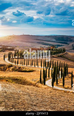 Colline, oliveti e piccoli vigneti sotto i raggi del sole del mattino, Italia, Toscana. Famoso paesaggio toscano con strada curva e cipresso, Italia, Europ Foto Stock