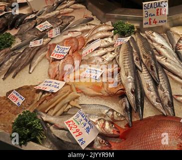 Pescivendolo del mercato al coperto di Manchester, pesce fresco tutti i giorni, bancarella di pesce delle balene, Arndale Centre, High St. Manchester, Inghilterra, Regno Unito, M4 2HU Foto Stock