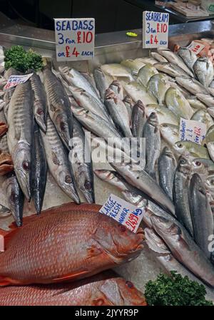 Pescivendolo del mercato al coperto di Manchester, pesce fresco tutti i giorni, bancarella di pesce delle balene, Arndale Centre, High St. Manchester, Inghilterra, Regno Unito, M4 2HU Foto Stock