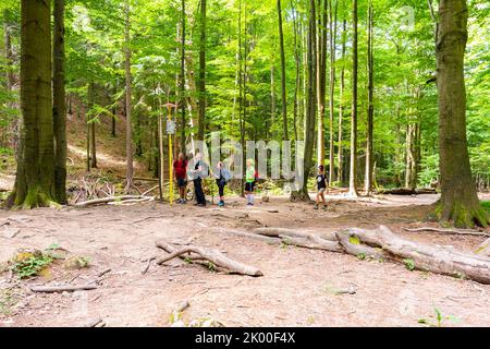 TERCHOVA, SLOVACCHIA - 6,7.2019: I turisti stanno leggendo il segno con direzione nel parco nazionale slovacco Mala Fatra. Indicazioni turistiche sono poste su importante Foto Stock