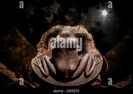 Statua di rana in una fontana dei Jardins de la Tamarita (Giardino la Tamarita) nel quartiere Sarria-Sant Gervasi di Barcellona. Foto Stock