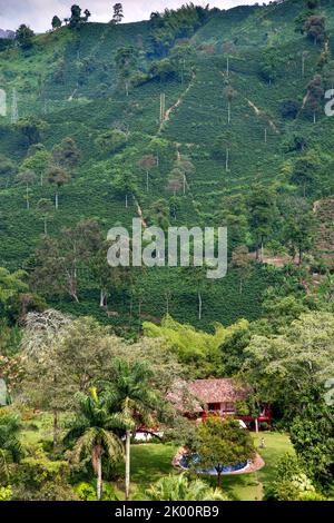 Colombia, l'edificio principale della fattoria di caffè Venecia vicino Manizales si trova nel mezzo della piantagione ed è anche una Hacienda dove i turisti possono soggiornare. Foto Stock