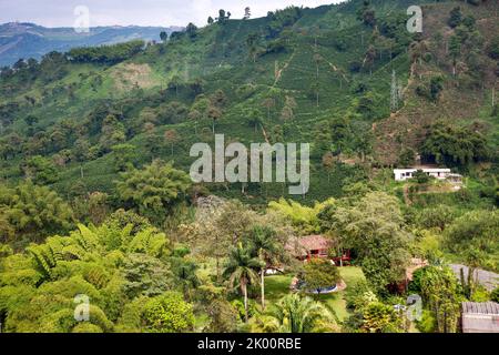 Colombia, l'edificio principale della fattoria di caffè Venecia vicino Manizales si trova nel mezzo della piantagione ed è anche una Hacienda dove i turisti possono soggiornare. Foto Stock