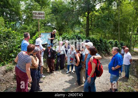 Colombia, dipendente della fattoria di caffè Venecia vicino Manizales è leader di un tour caffè e informa i visitatori circa i tipi, la qualità e la produzione di caffè Foto Stock