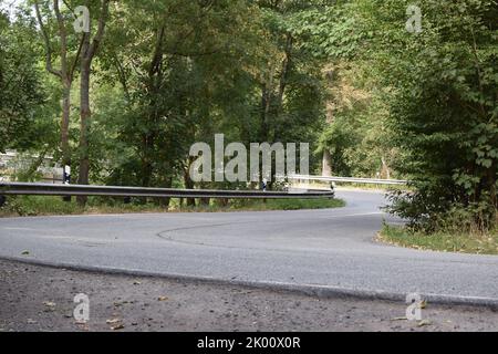 strada curvy in foresta verde Foto Stock