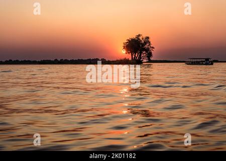 Tour in barca al Sundowner sul lungofiume di Chobe tra Namibia e Botswana Foto Stock