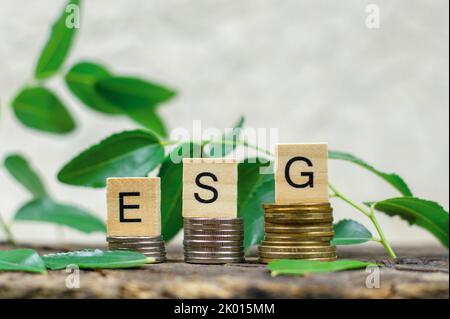 Abbreviazione ESG su cubi di legno, che si trovano sulle monete. Il concetto di conservazione ambientale. Governance sociale ambientale. Foto Stock