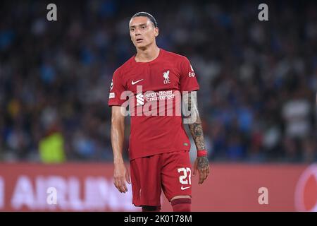 Napoli, Italia. 07th Set, 2022. Darwin Nunez del Liverpool FC sembra essere sconsolato durante la partita della UEFA Champions League tra Napoli e Liverpool allo Stadio Diego Armando Maradona, Napoli, Italia, il 7 settembre 2022. Credit: Giuseppe Maffia/Alamy Live News Foto Stock