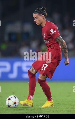 Napoli, Italia. 07th Set, 2022. Darwin Nunez del Liverpool FC durante la partita della UEFA Champions League tra Napoli e Liverpool allo Stadio Diego Armando Maradona, Napoli, Italia, il 7 settembre 2022. Credit: Giuseppe Maffia/Alamy Live News Foto Stock