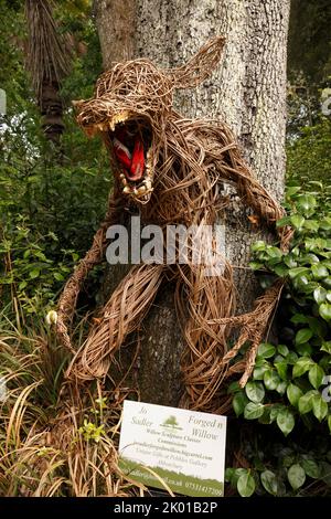 Wicker Wolf realizzato in strisce intrecciate di salice. Fiabe. Che denti grandi.....Abbotsbury giardini subtropicali Foto Stock