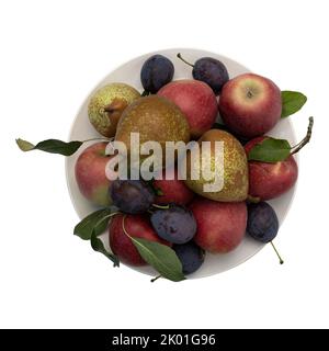 piatto con diversi frutti freschi isolati su bianco, autunno fermo vita, pere biologiche, mele, prugne, raccolto autunnale Foto Stock