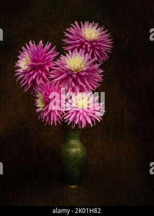 Rosa casa cresciuto dahlias, ancora la vita in vaso. Foto Stock