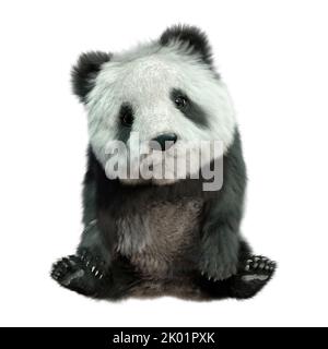 3D rendering di un orso panda isolati su sfondo bianco Foto Stock