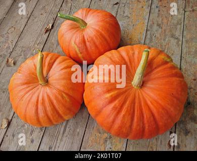Tre zucche fresche e foglie autunnali su tavolo di legno invecchiato. Foto Stock